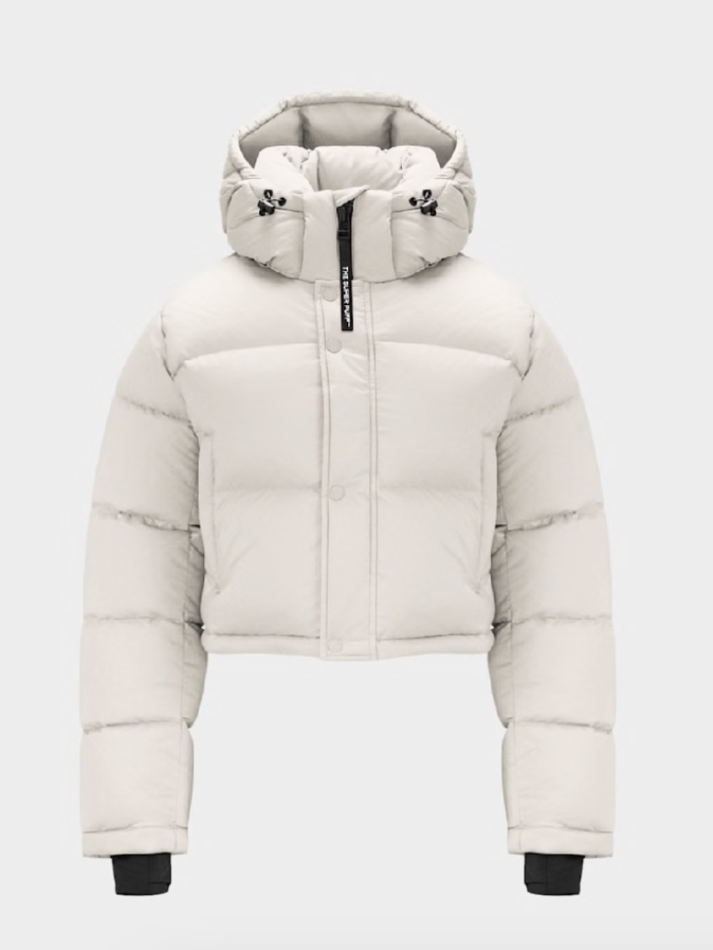 Aritzia "The SuperPuff XtraShorty Climate"